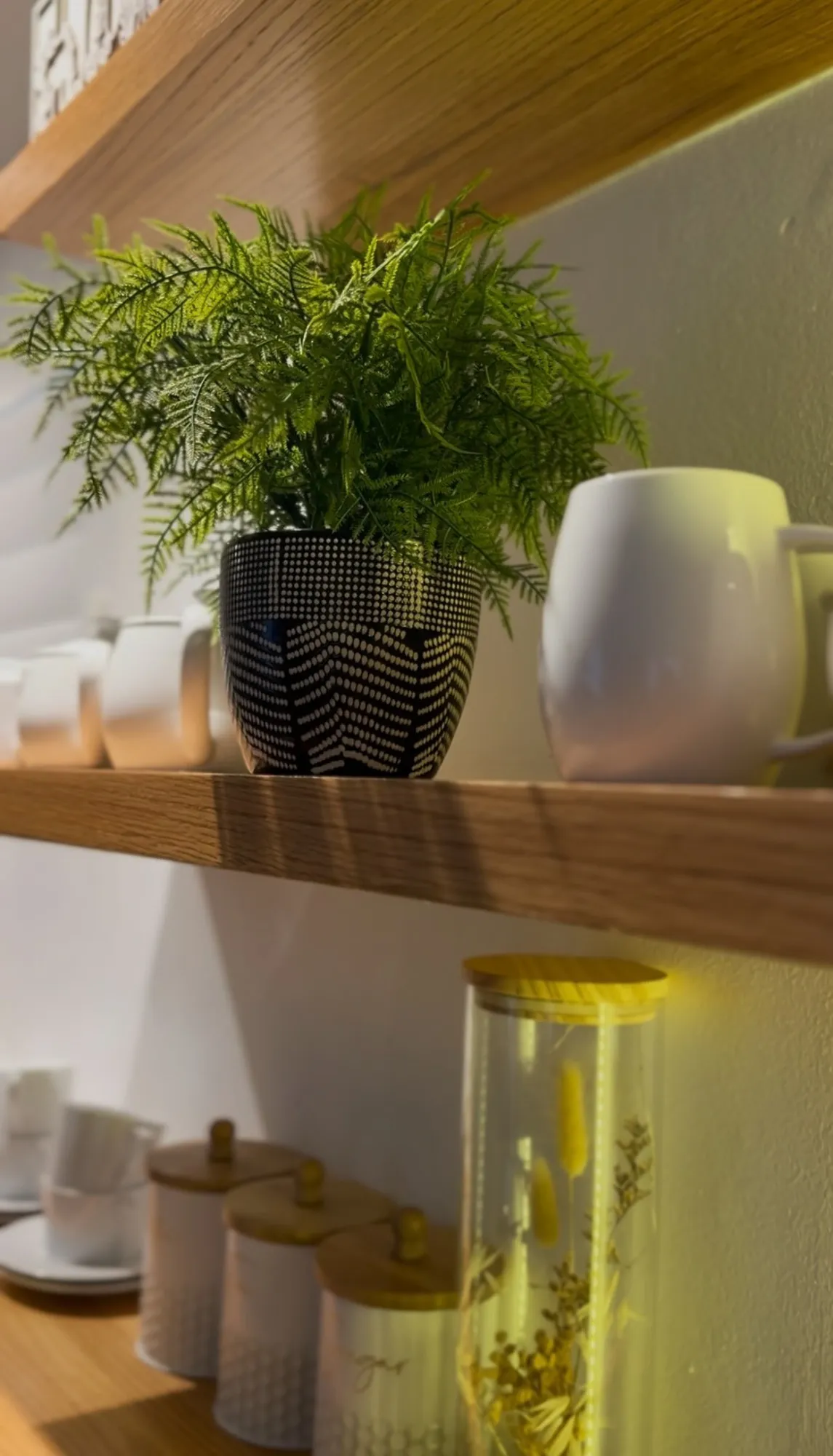 Open shelves at Casa Dias with a fern, mugs, and storage jars