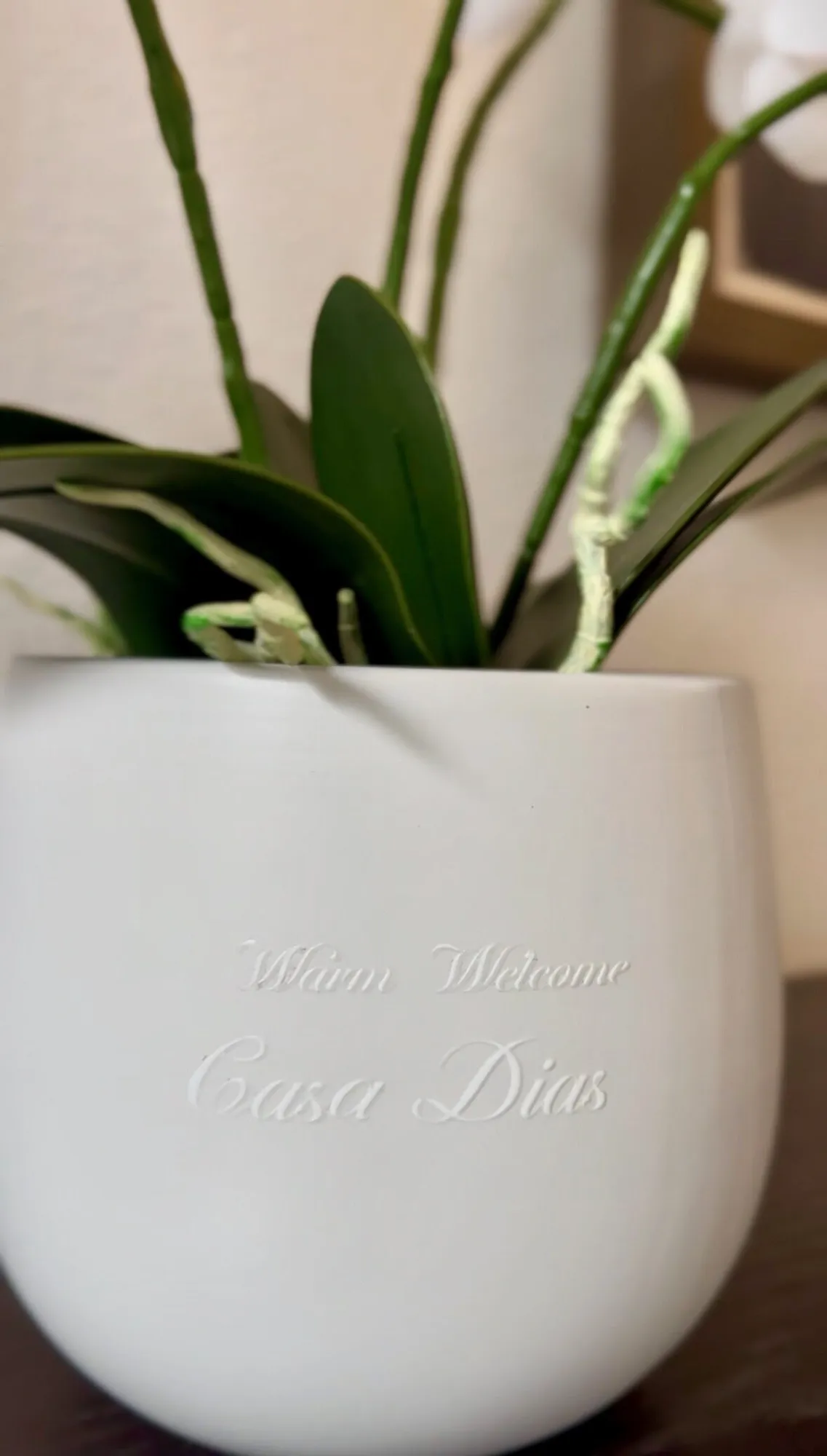 A welcome orchid in a pot embossed for Casa Dias